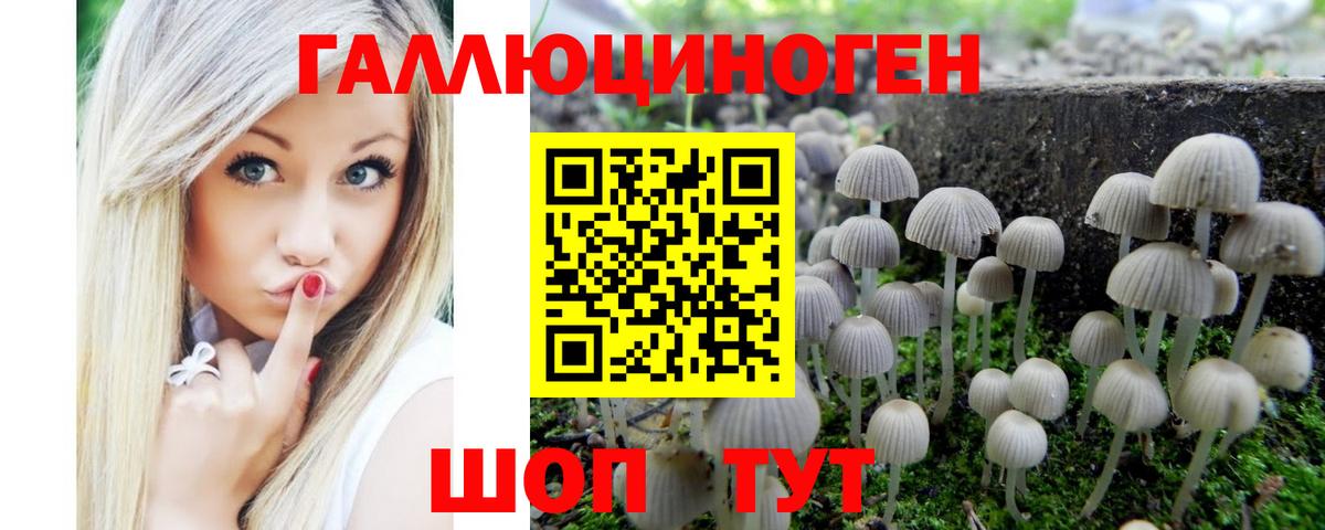 Зеленодольск  Галлюциногенные грибы Magic Shrooms  Вход с VPN 
